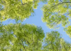 莱万多夫斯基赛程全在这冲上热搜(莱万多夫斯基9分钟5球是哪场比赛)
